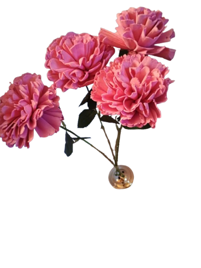Pink Carnation Single Stem