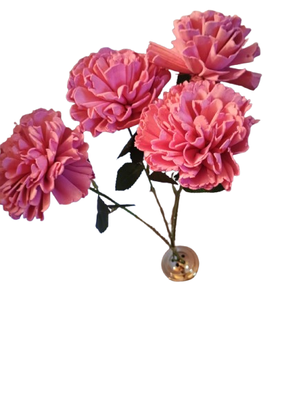 Pink Carnation Single Stem
